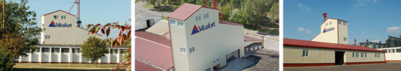 vitafort_tevekenysegek1