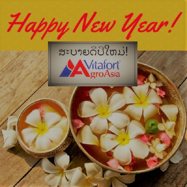 Happy New Year